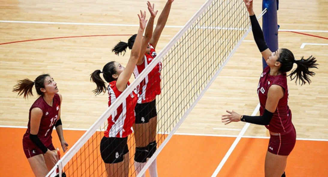 Halkbank bước vào mùa 2026-2027: Mục tiêu lớn, cấu trúc mạnh và những khoảng trống không ai lấp