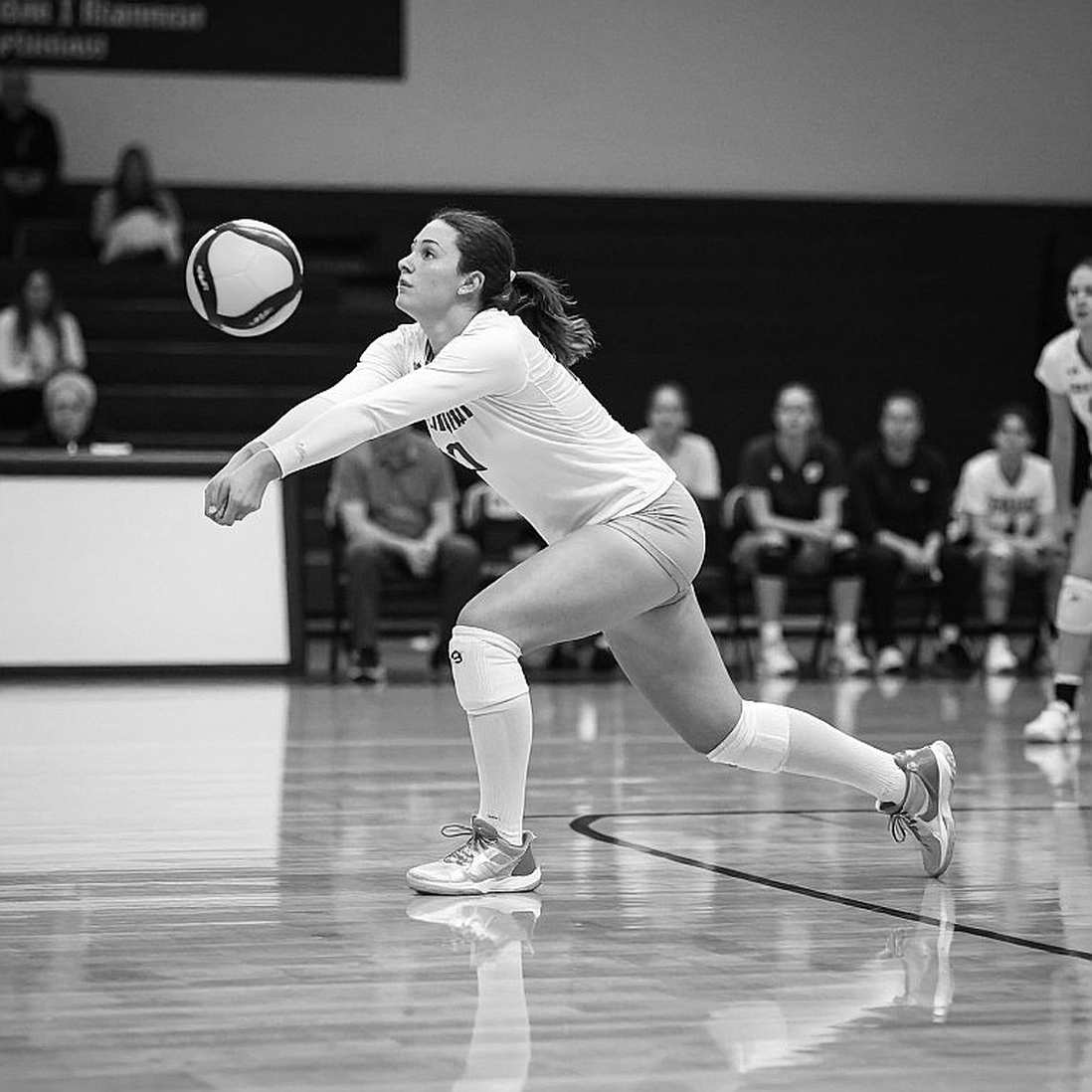 The Gaps in the Volleyball Stats Sheet: Where the Real Story Begins The Gaps in the Volleyball Stats Sheet: Where the Real Story Begins