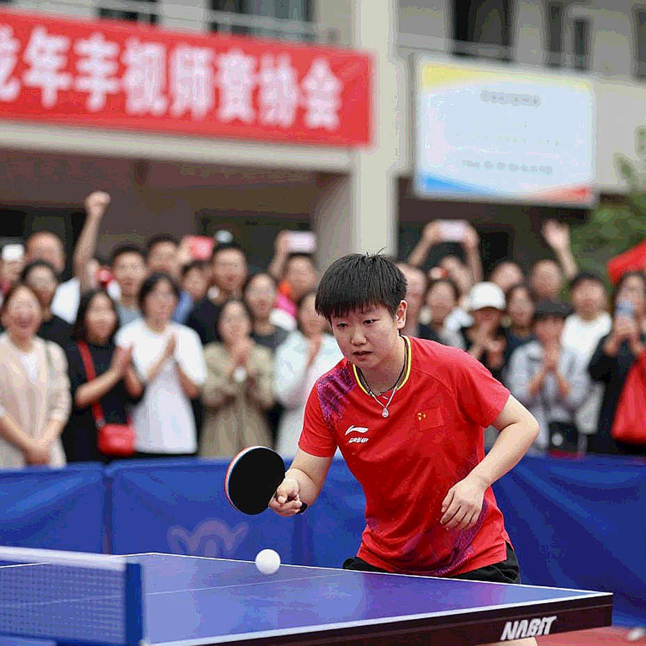 WTT Champions Macao: Anna Hursey và Tom Jarvis đối mặt thử thách lớn trước hạt giống số 3 Nhật Bản