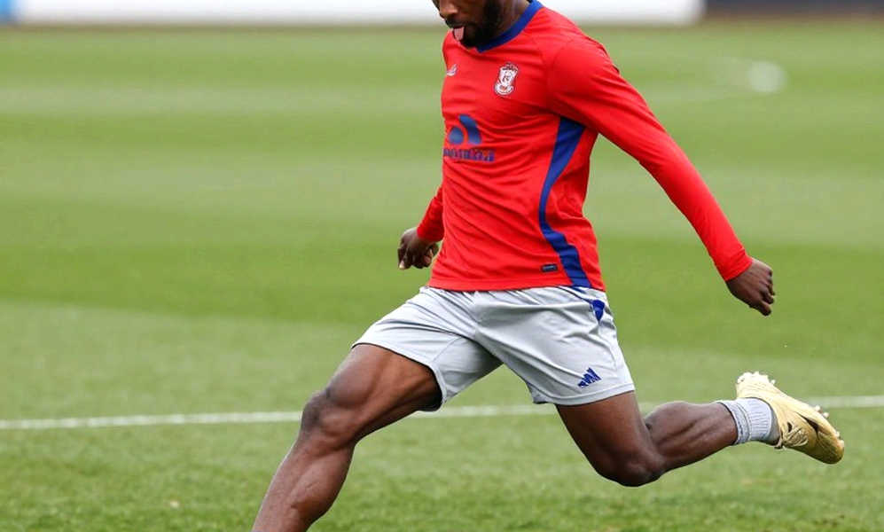 Adu-Adjei rời Bournemouth sang Rijeka: bản hợp đồng được vẽ bằng mạng lưới, không bằng dữ liệu Adu-Adjei rời Bournemouth sang Rijeka: bản hợp đồng được vẽ bằng mạng lưới, không bằng dữ liệu